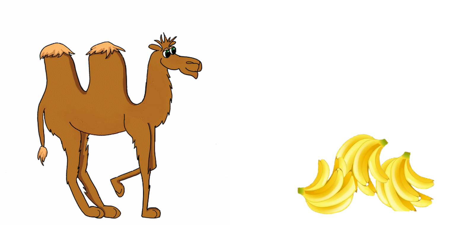 image from Le chameau et les bananes